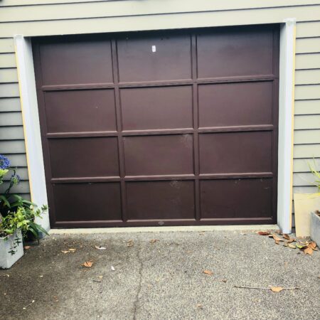 Garage Door Painting